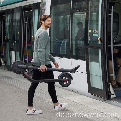 NINEBOT E22 Elektrischer Roller 9-Zoll-Zwei-Dichte-Reifen